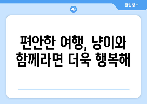 반려동물과 함께 즐기는 고양이 동반 여행의 매력