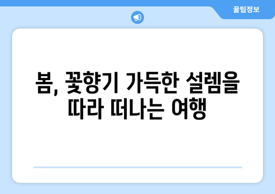 사계절에 맞는 다양한 여행 아이디어로 힐링하기