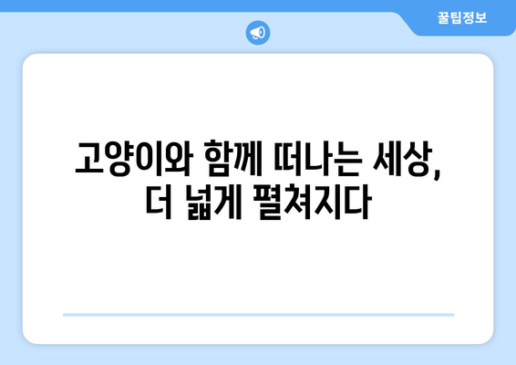 반려동물과 함께 즐기는 고양이 동반 여행의 매력