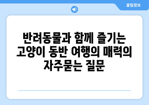 반려동물과 함께 즐기는 고양이 동반 여행의 매력