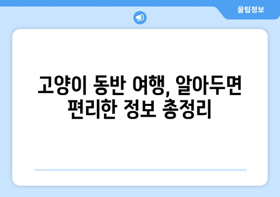 반려동물과 함께 즐기는 고양이 동반 여행의 매력